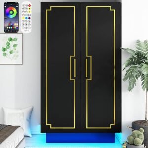 Modern 70in LED 2 Doors Armoires Wardrobe Closet&Cabinet with Hanging Rod, Bedroom Armoires with RGB LED 6000-color Lights,Wardrobe Clothes Organizer (Black-2 Door Armoires)